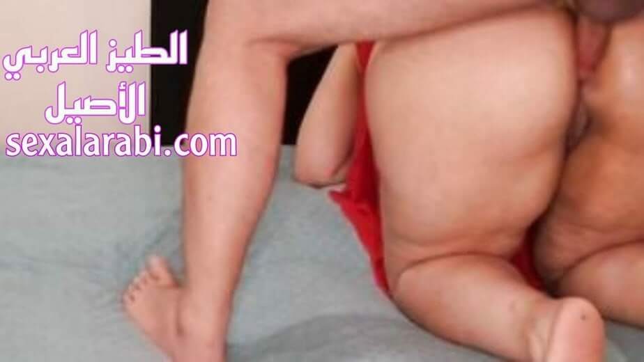 نيك طيز عربي اصيل