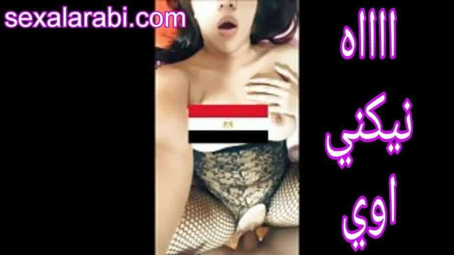 تتناك وبتصور نفسها سكس عربي مصري