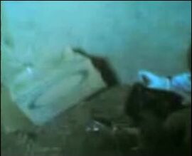 مصرية تنتاك من ثلاثة في الدور