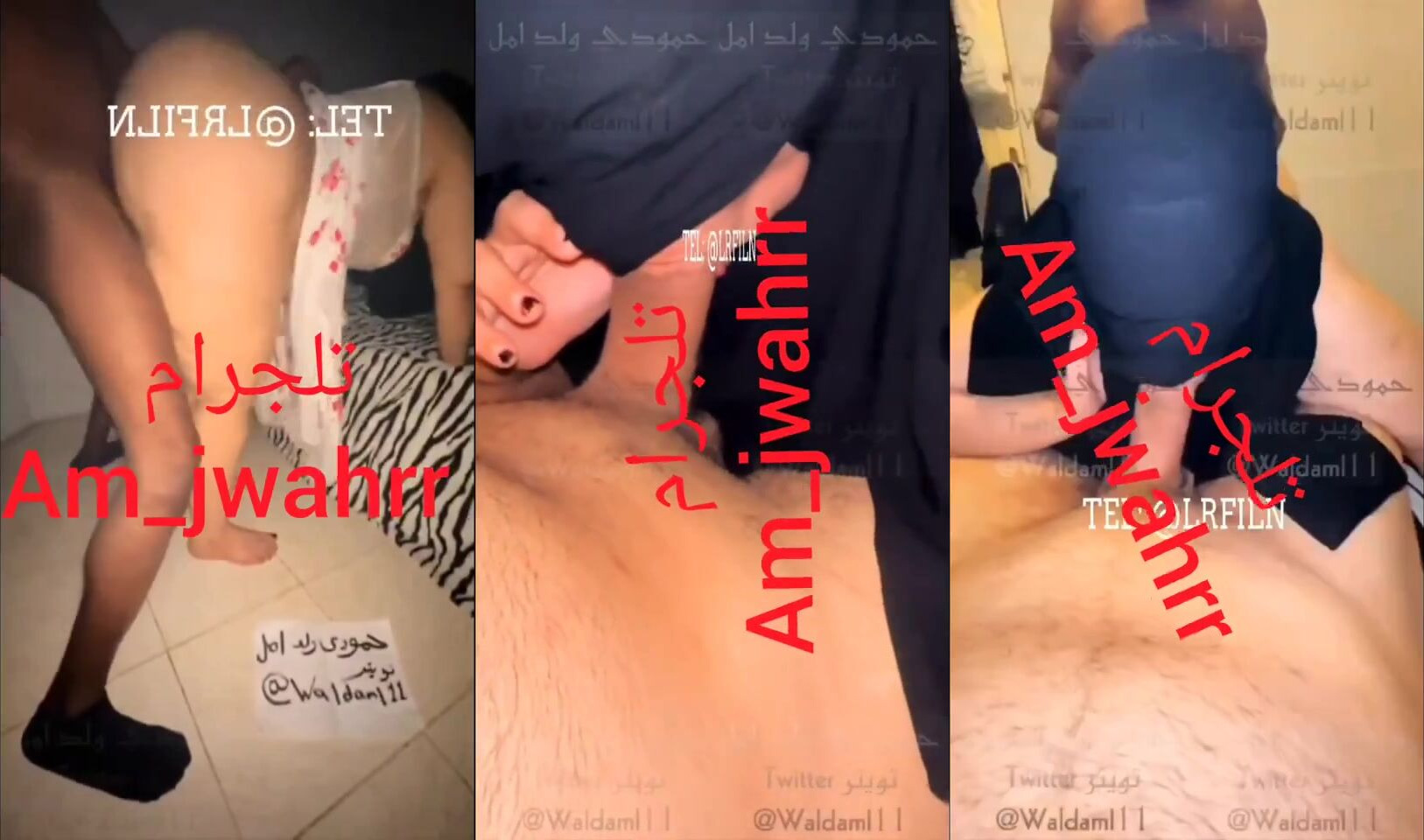 سكس عربي مقاطع الديوث السعودي ولد امل وامه الكبيره